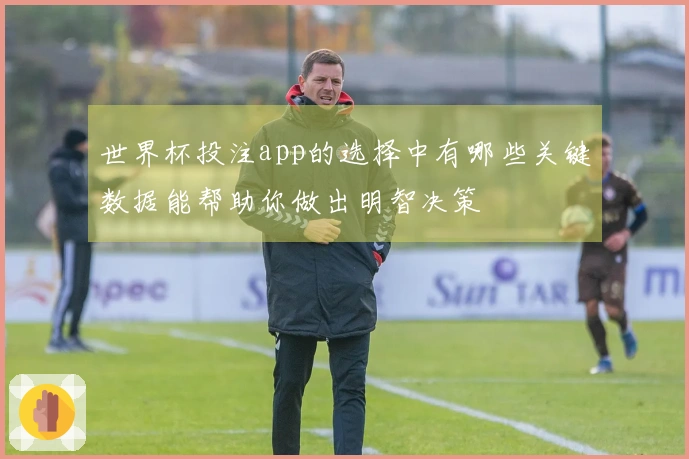 世界杯投注app的选择中有哪些关键数据能帮助你做出明智决策