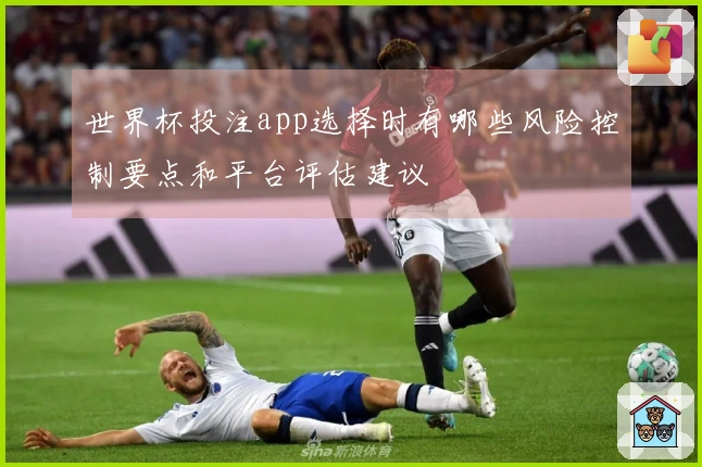 世界杯投注app选择时有哪些风险控制要点和平台评估建议