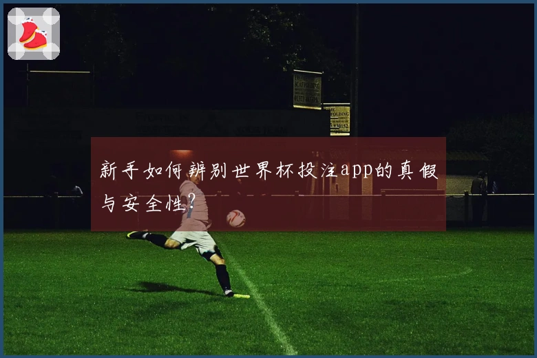 新手如何辨别世界杯投注app的真假与安全性？