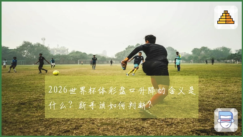 2026世界杯体彩盘口升降的含义是什么？新手该如何判断？