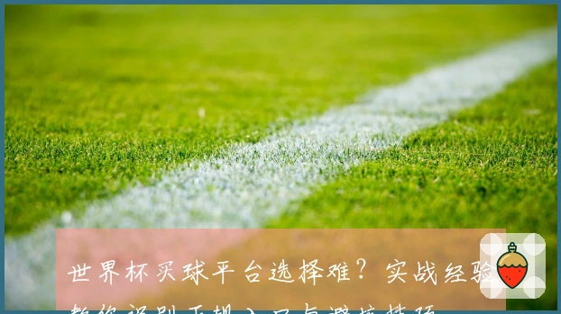 世界杯买球平台选择难？实战经验教你识别正规入口与避坑技巧