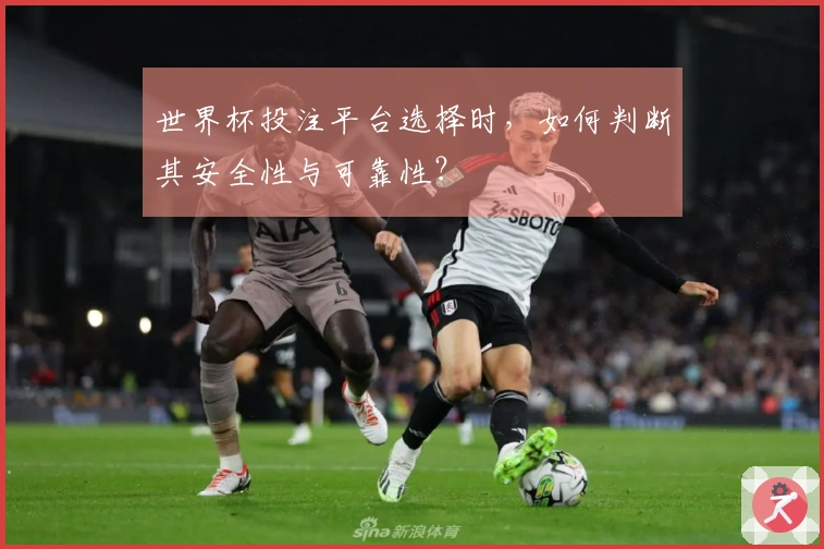 世界杯投注平台选择时，如何判断其安全性与可靠性？