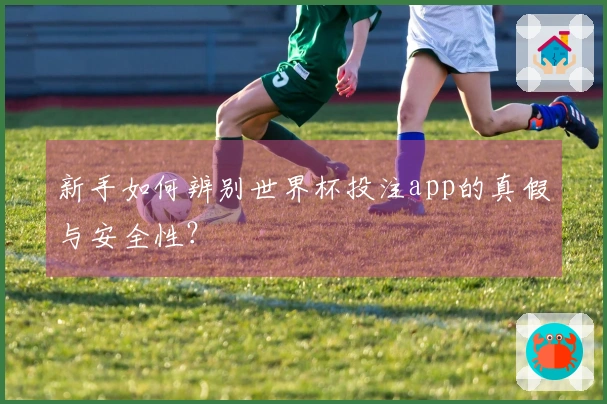 新手如何辨别世界杯投注app的真假与安全性？