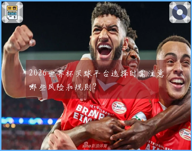 2026世界杯买球平台选择时需注意哪些风险和规则？